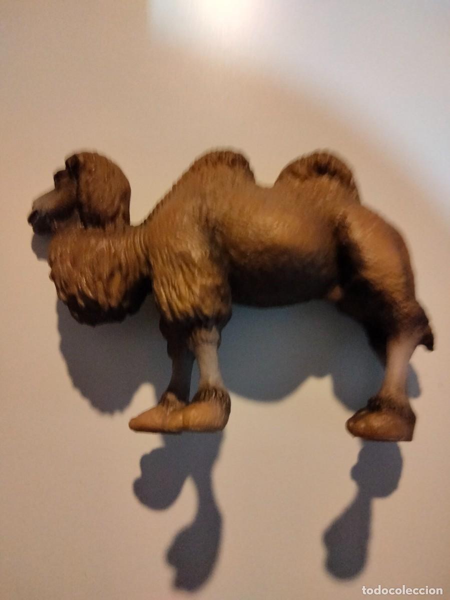 Figuras de goma y PVC: CAMELLO ESCALA 1:32 - Foto 1