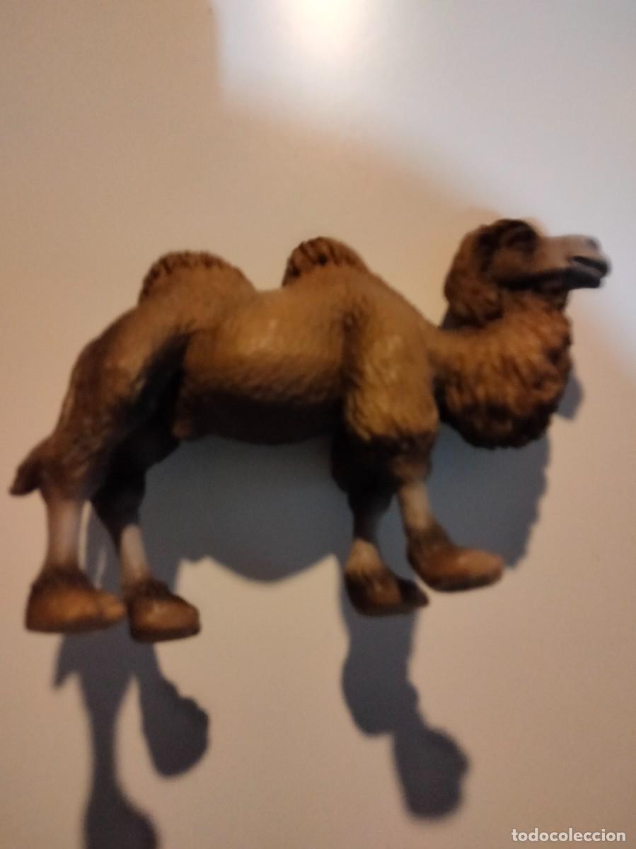 Figuras de goma y PVC: CAMELLO ESCALA 1:32 - Foto 2