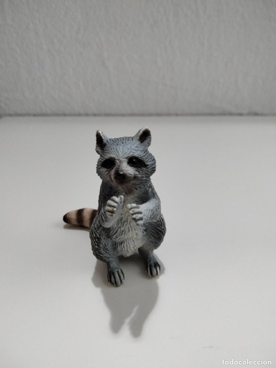 Figuras de goma y PVC: MAPACHE ESCALA 1:32 - Foto 3
