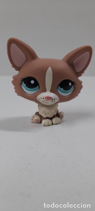 Figuras de goma y PVC: LITTLEST PET - HASBRO . A&Ntilde;O 2010