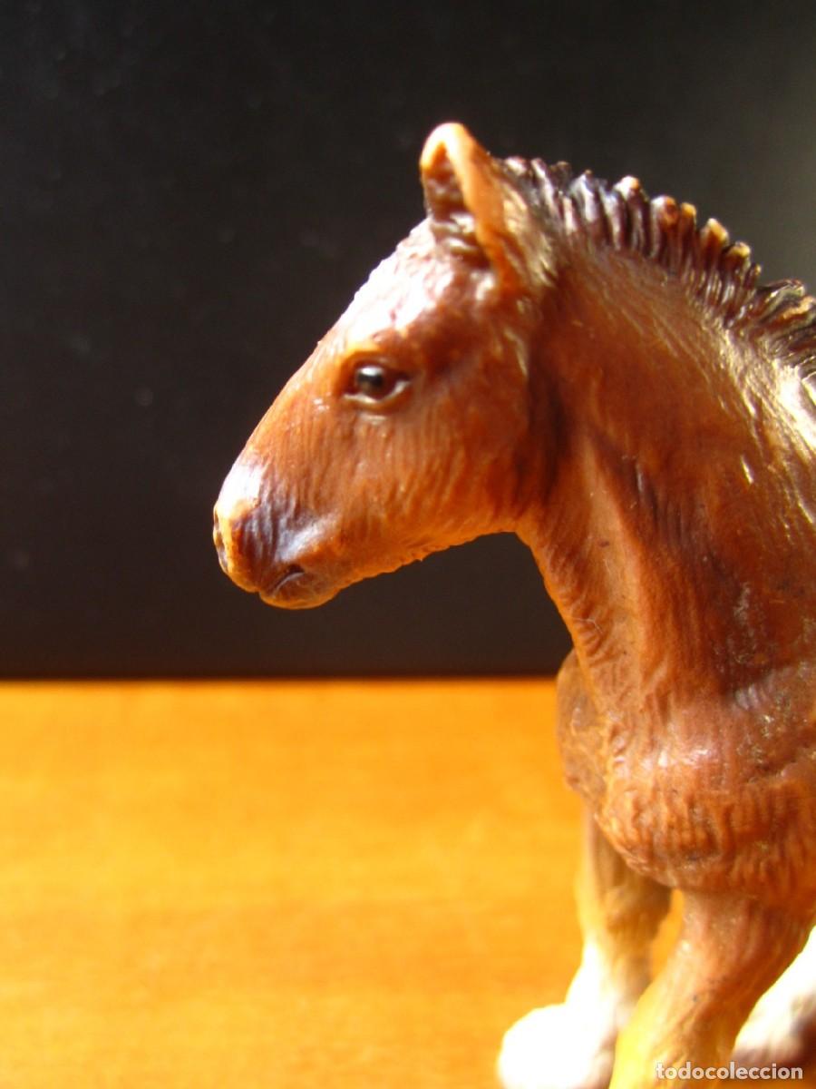 Figuras de goma y PVC: Caballo Potro Shire (Schleich Ref. 13272) - Foto 8