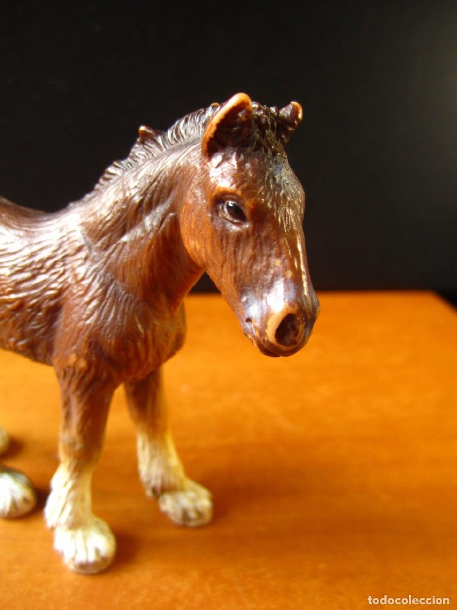 Figuras de goma y PVC: Caballo Potro Shire (Schleich Ref. 13272) - Foto 9