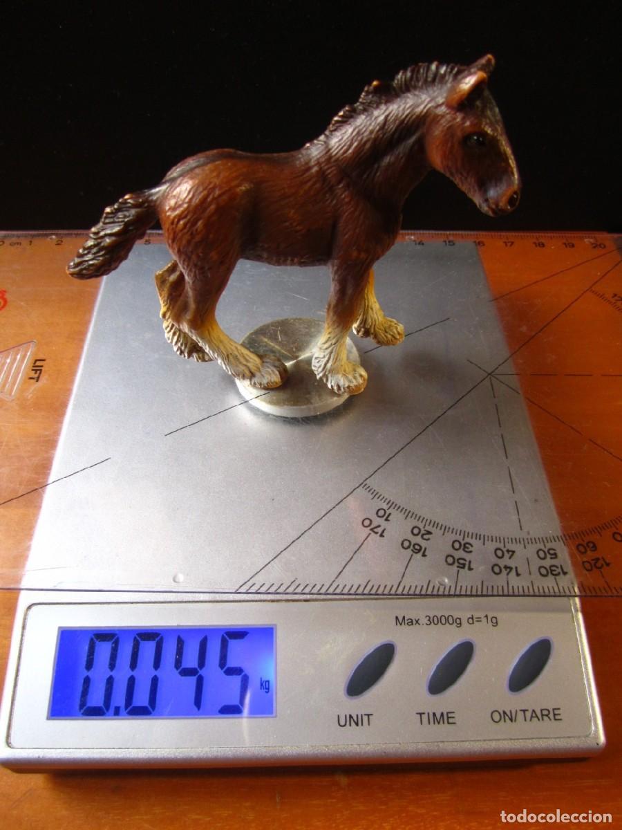 Figuras de goma y PVC: Caballo Potro Shire (Schleich Ref. 13272) - Foto 13