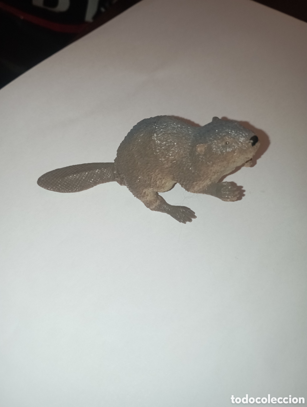 Figurines en Caoutchouc et PVC: CASTOR FIGURA DE PVC SERIE ANIMALES SALVAJES ZOO