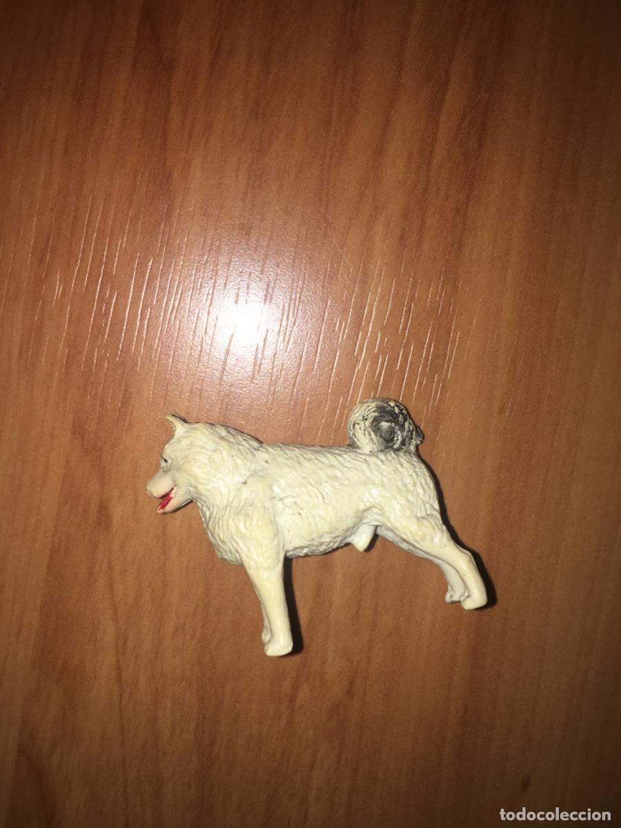 Figuras de Goma y PVC: Figura animais brinde detergente AZUR a&ntilde;os 60 muy rara
