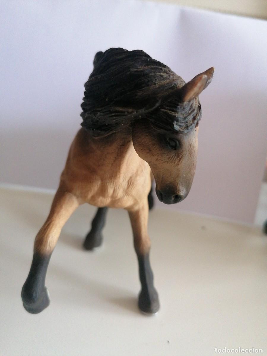 Figuras de goma y PVC: Caballo- 2009 - scheleich - Foto 3