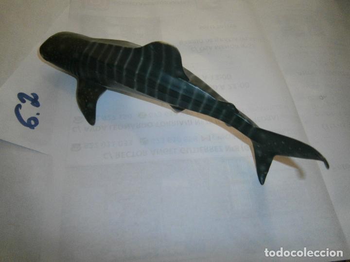 Figuras de Borracha e PVC: FIGURA DE GOMA Y PVC - TIBURON BALLENA