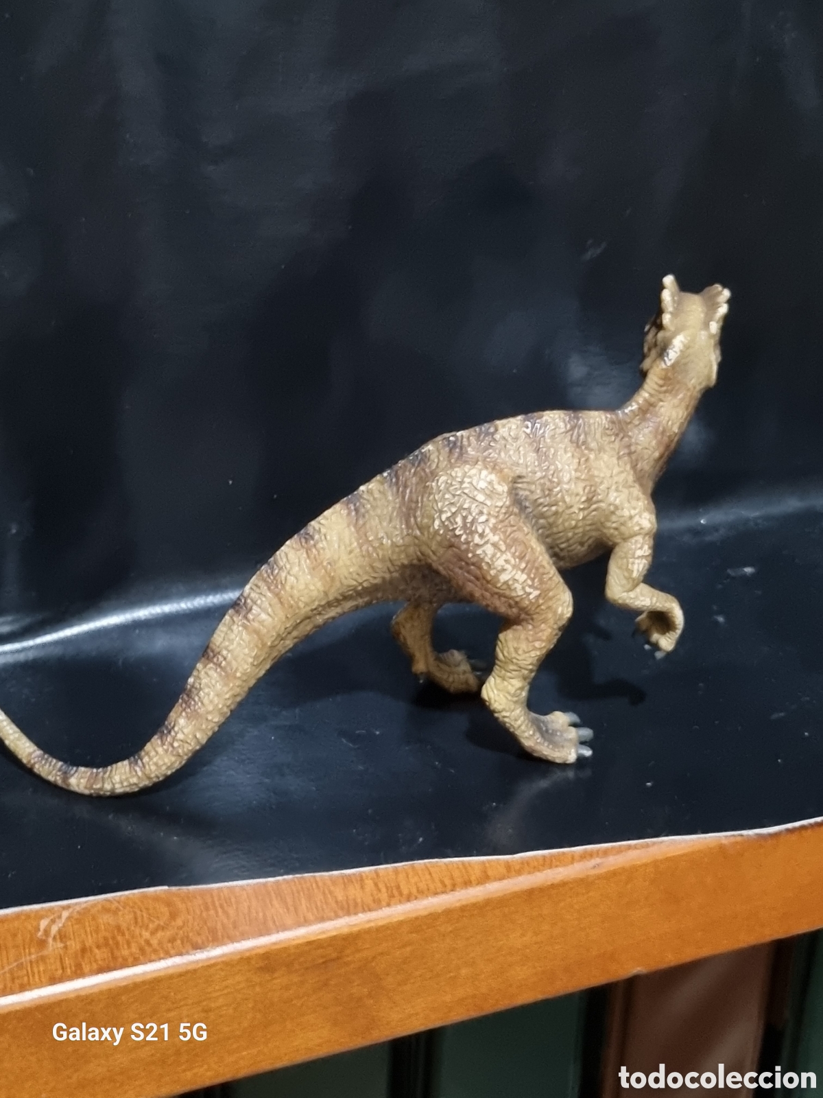 Figuras de goma y PVC: FIGURA ALLOSAURUS SCHLEICH - Foto 2