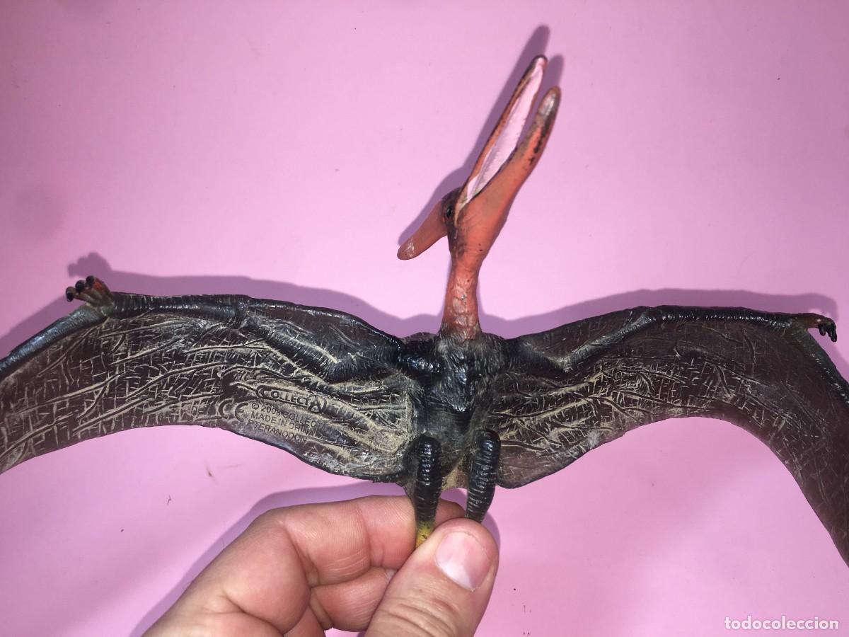 Figuras de goma y PVC: PTEROSAURIO PTERANODON DE COLLECTA 2008 - Foto 2