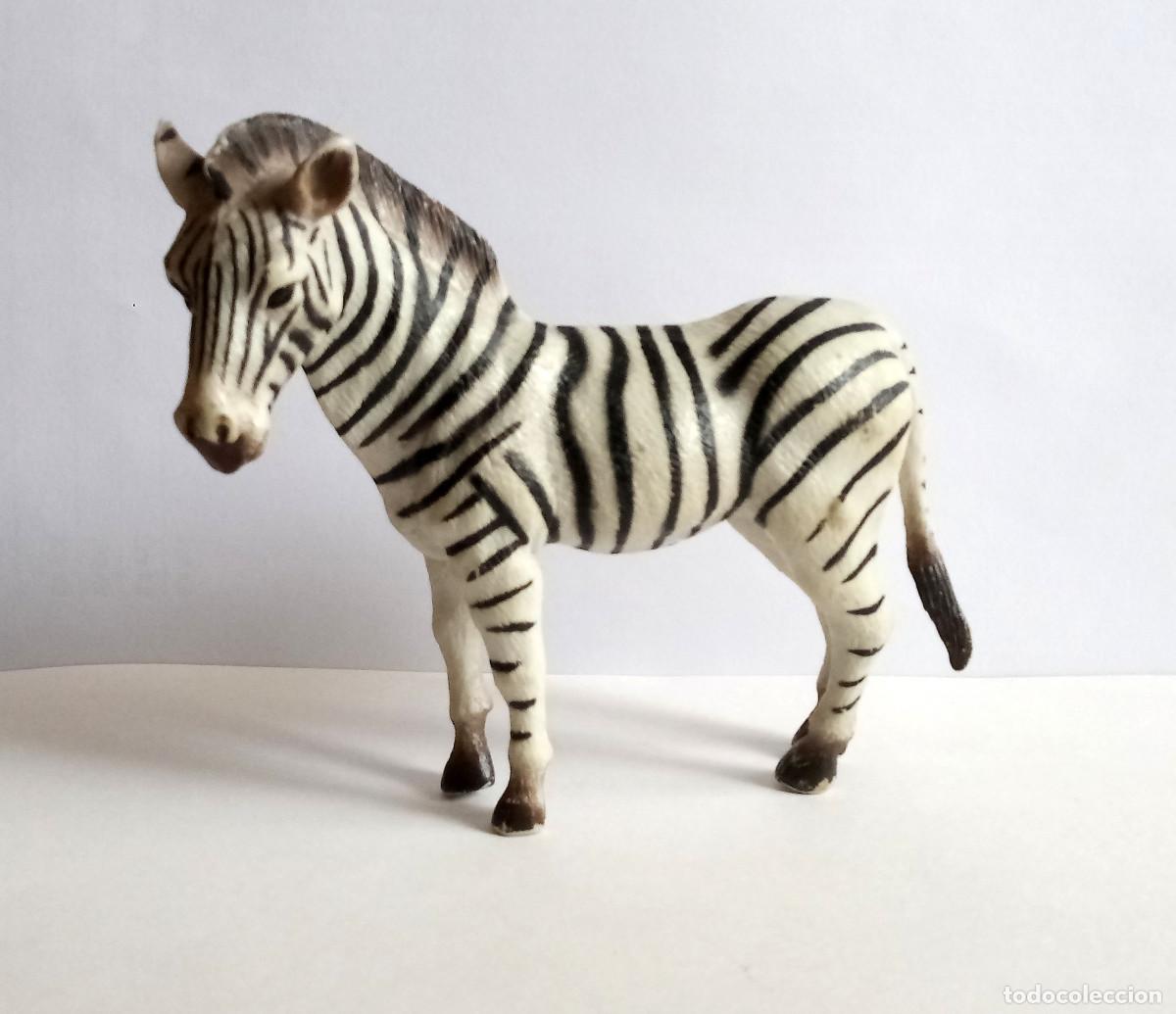 Figuras de Goma y PVC: Figura Procon/Collecta - Cebra - Ref. 88032 Common Zebra - A&ntilde;o 2006 - Descatalogada