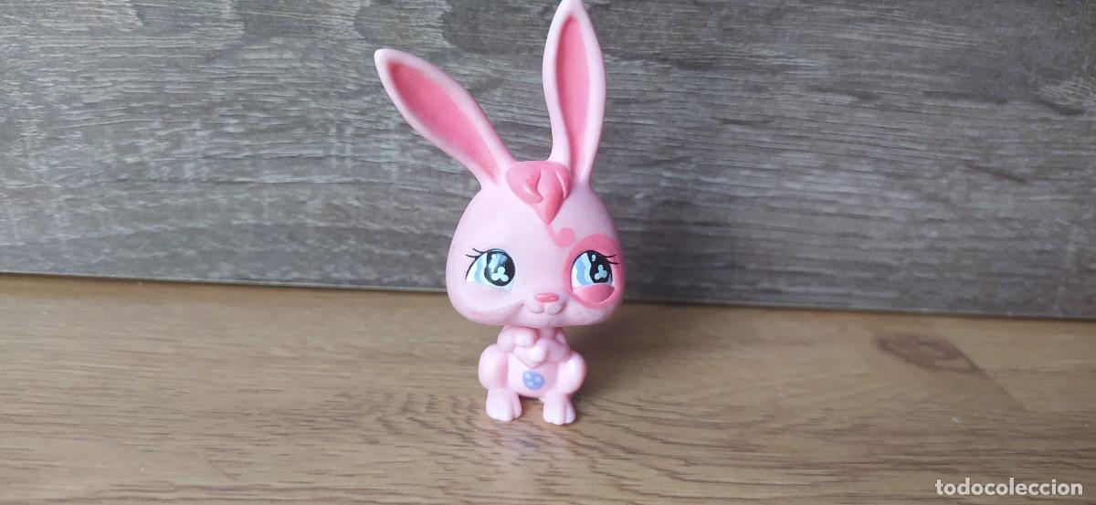 hasbro - littlest pet shop vintage 1st generaci - Buy Other rubber and PVC  figures on todocoleccion