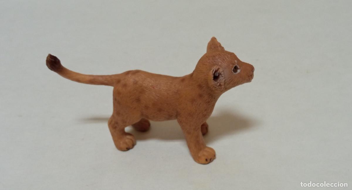 Figuras de goma y PVC: Figura Schleich - Cr&iacute;a Le&oacute;n - Foto 3