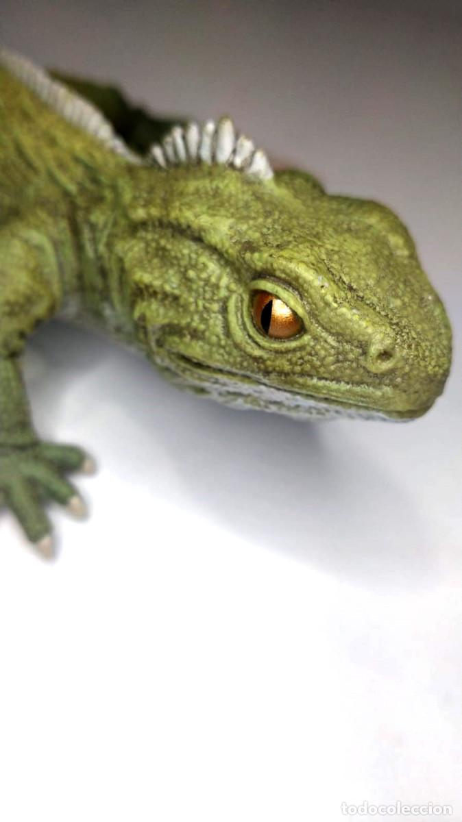 Rubber and PVC Figures: Tu&aacute;tara, figura original Safari Ltd. NUEVA animales salvajes reptiles