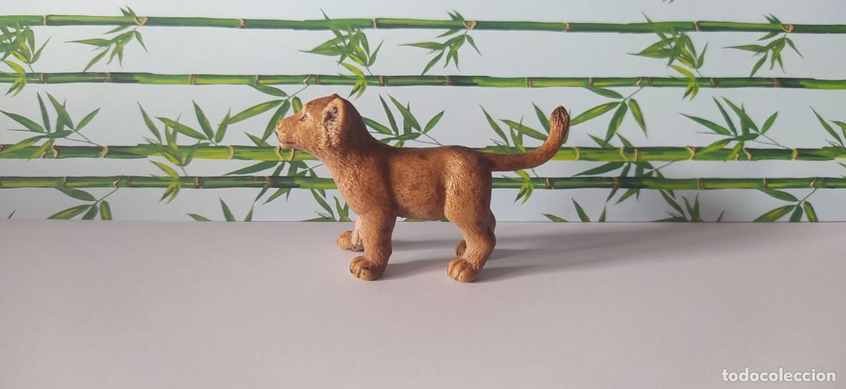 Figuras de goma y PVC: CRIA DE LE&Oacute;N SCHLEICH - Foto 1