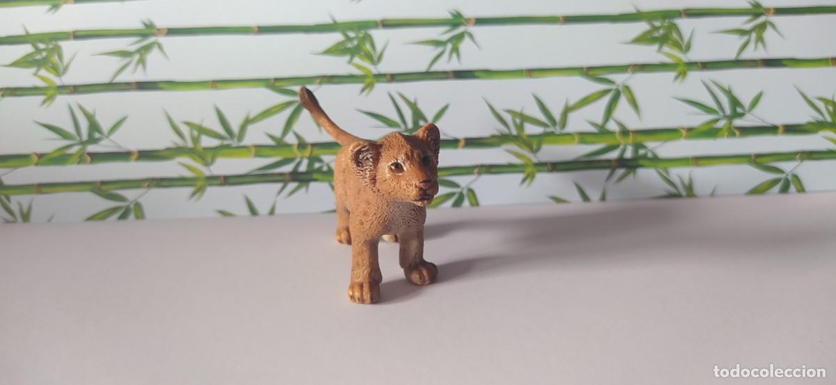 Figuras de goma y PVC: CRIA DE LE&Oacute;N SCHLEICH - Foto 3