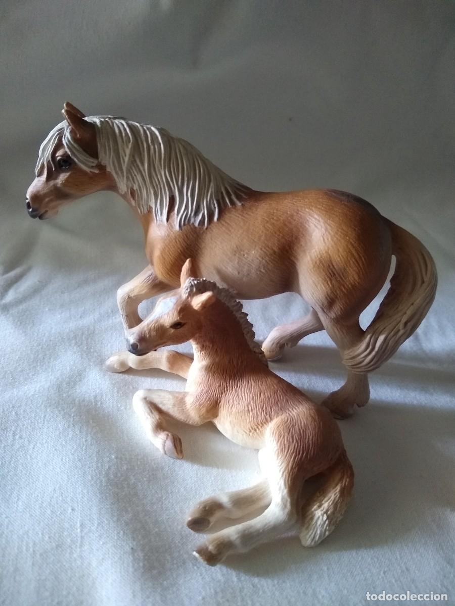 Figuras de goma y PVC: Caballo y potro. Marca Schleich - Foto 6