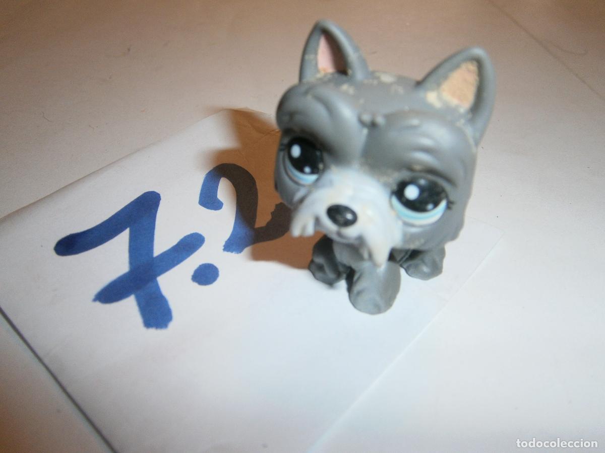 Figurines en Caoutchouc et PVC: FIGURA DE GOMA O PVC - ANIMALITO - ENVIO GRATIS A ESPA&Ntilde;A