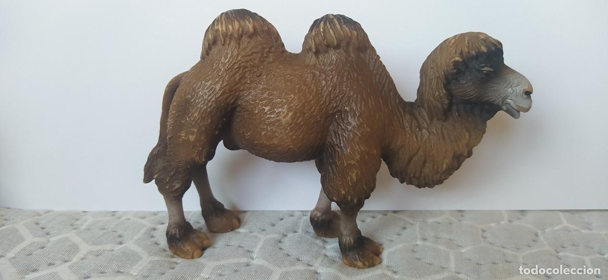 Figuras de goma y PVC: CAMELLO BACTRIANO DE PVC SCHLEICH - Foto 2