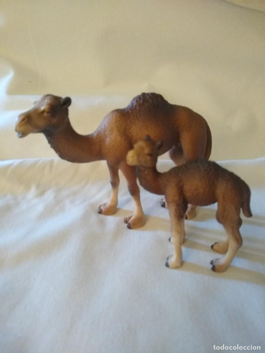 Figuras de goma y PVC: Dromedario con cr&iacute;a marca Schleich - Foto 1