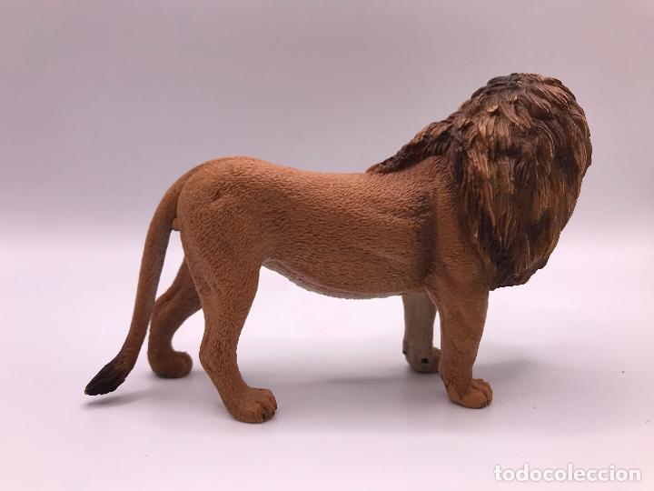 Figuras de goma y PVC: Le&oacute;n. Schleich. Figura de goma. - Foto 2