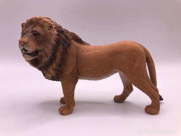Figuras de goma y PVC: Le&oacute;n. Schleich. Figura de goma. - Foto 1