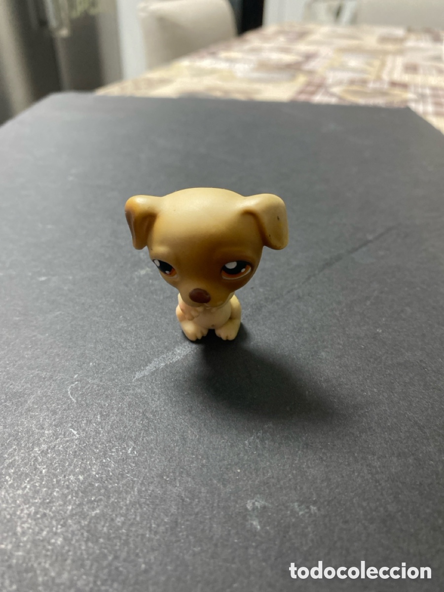Figuras de Borracha e PVC: Little Pet Shop perro