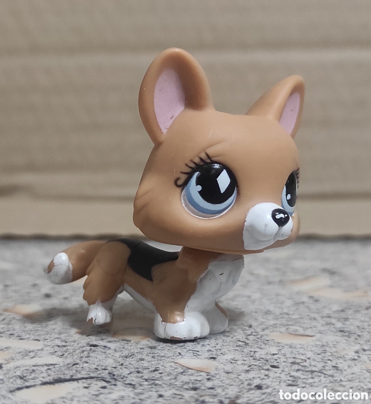 Figuras de Goma y PVC: LITTLE PET SHOP - A&Ntilde;O 2007 - C 031