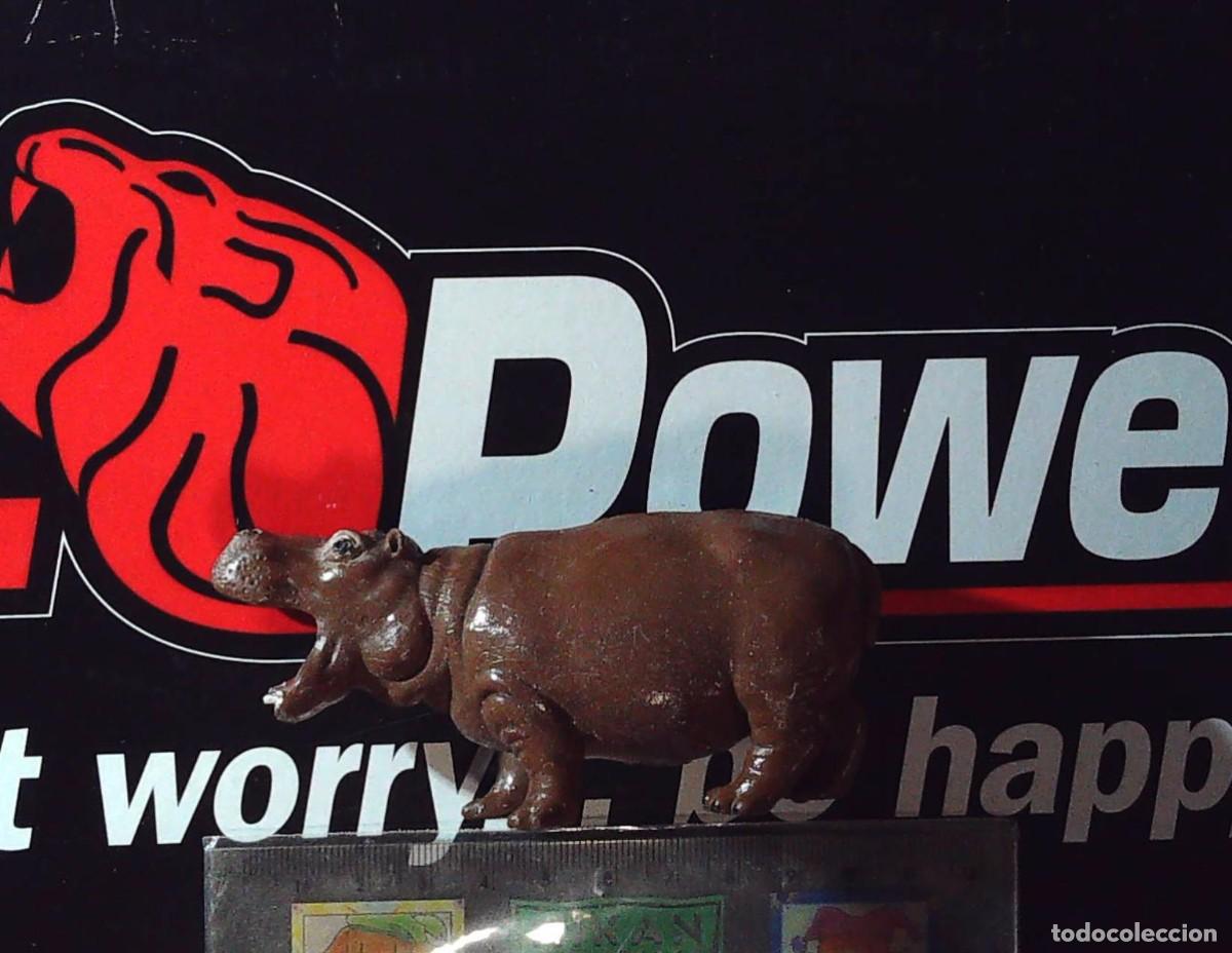 Figuras de Goma y PVC: HIPOPOTAMO DE GOMA PVC ANIMALES DE JUGUETE