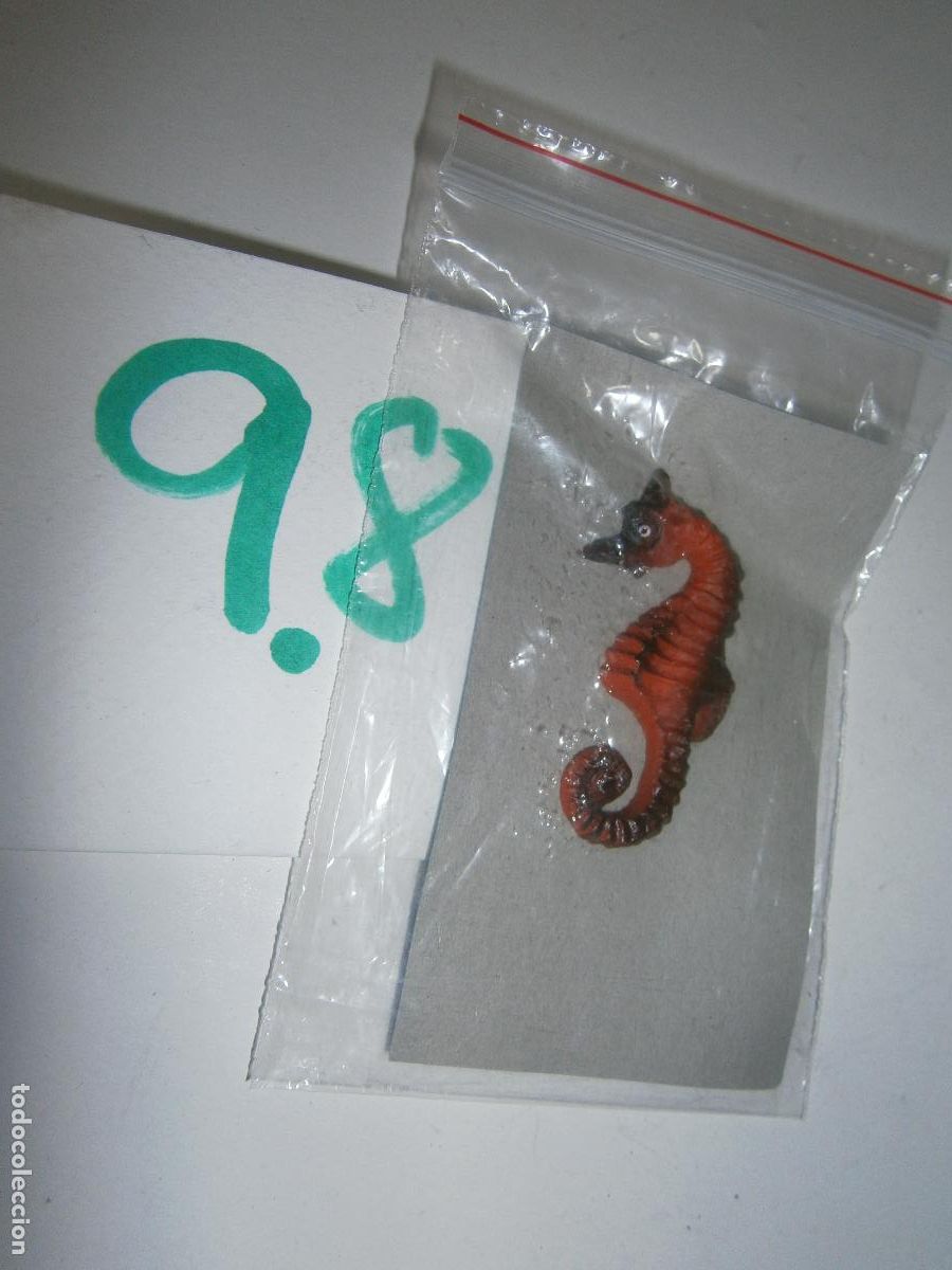 Figuras de Borracha e PVC: PECES DE CANARIAS Y DEL MUNDO - CABALLITO DE MAR