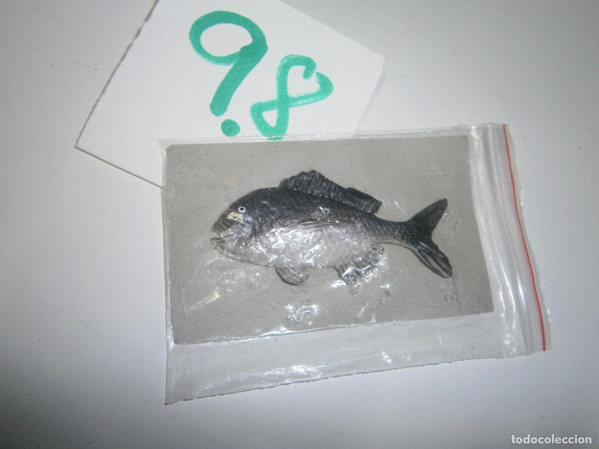 Figuras de Borracha e PVC: PECES DE CANARIAS Y DEL MUNDO - SAMA ROQUERA