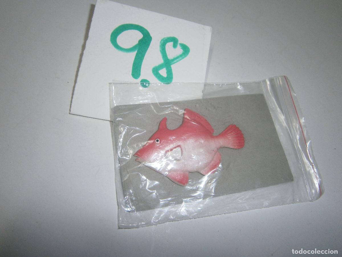 Figuras de Borracha e PVC: PECES DE CANARIAS Y DEL MUNDO - GALLITO