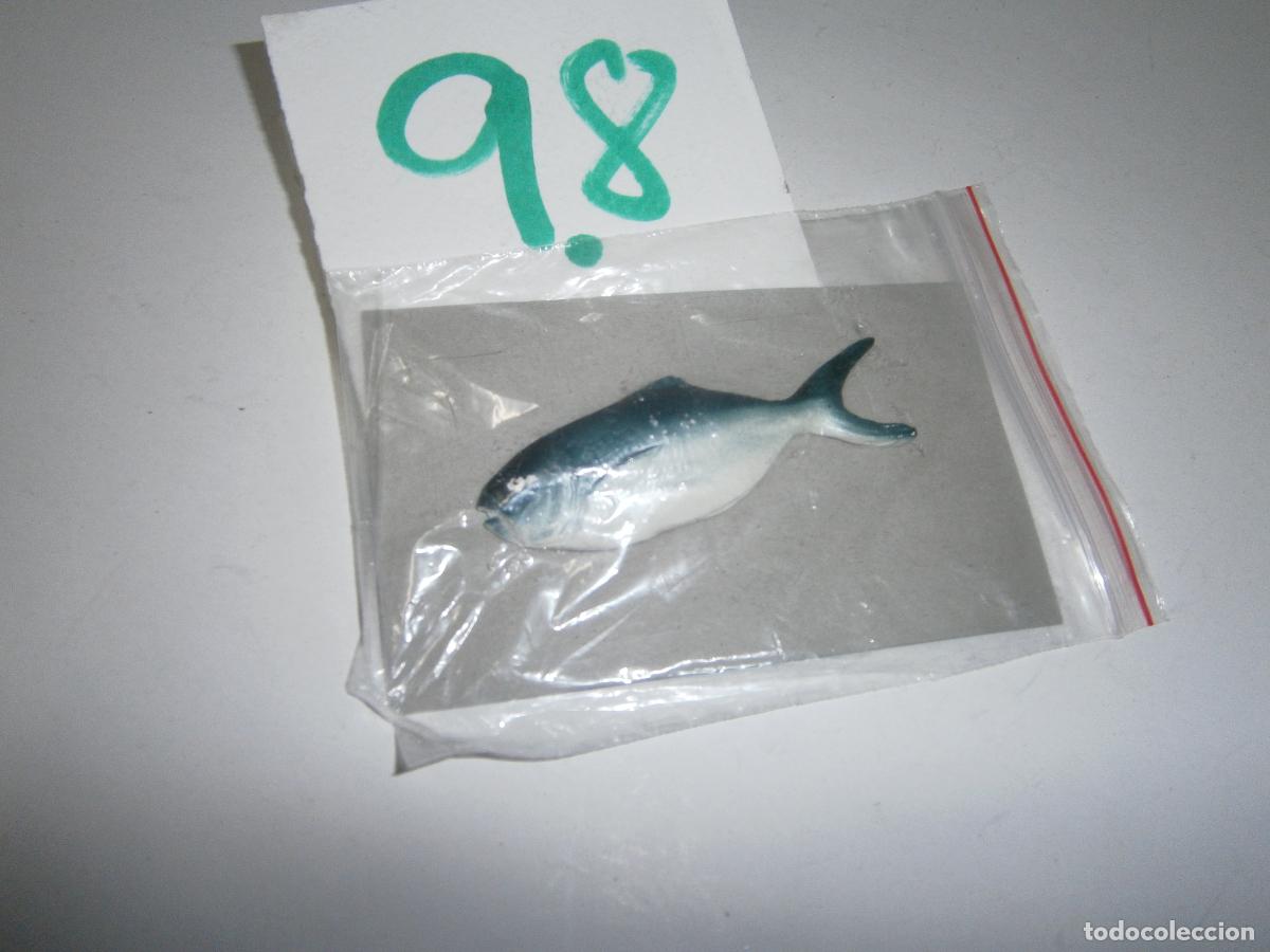 Gummi- und PVC-Figuren: PECES DE CANARIAS Y DEL MUNDO - MEDREGAL