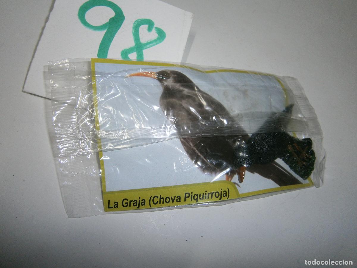 Figuras de Borracha e PVC: AVES DE CANARIAS Y DEL MUNDO - GRAJA