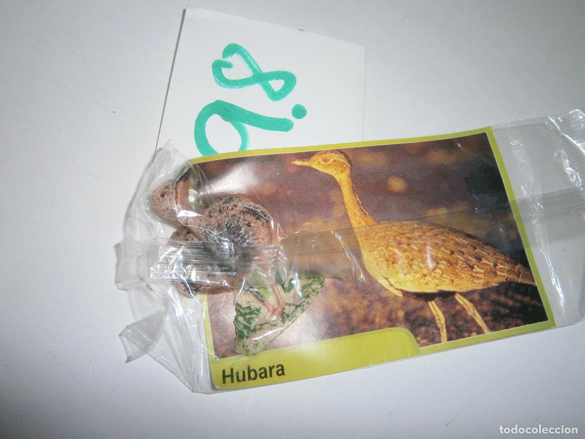 Figurines en Caoutchouc et PVC: AVES DE CANARIAS Y DEL MUNDO - HUBARA