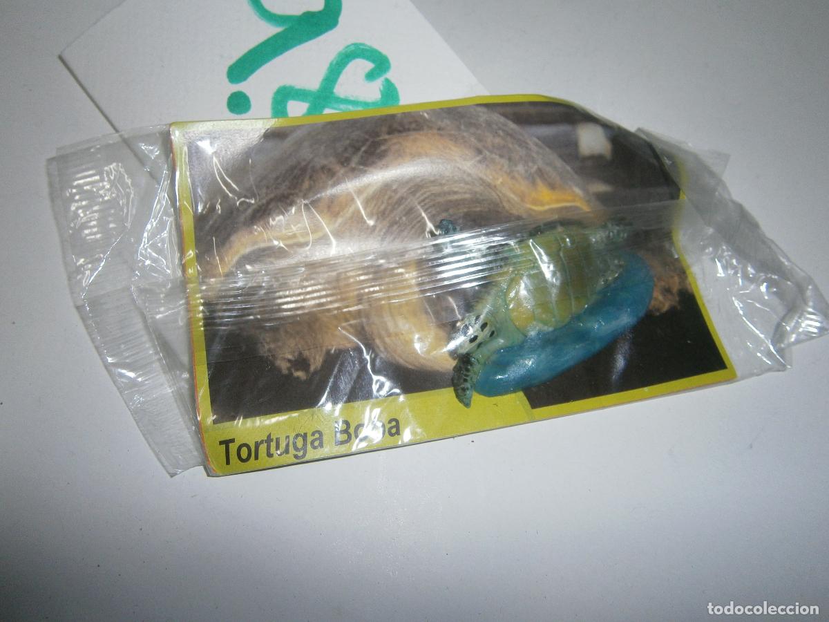 Gummi- und PVC-Figuren: ANIMALES DE CANARIAS Y DEL MUNDO - TORTUGA BOBA