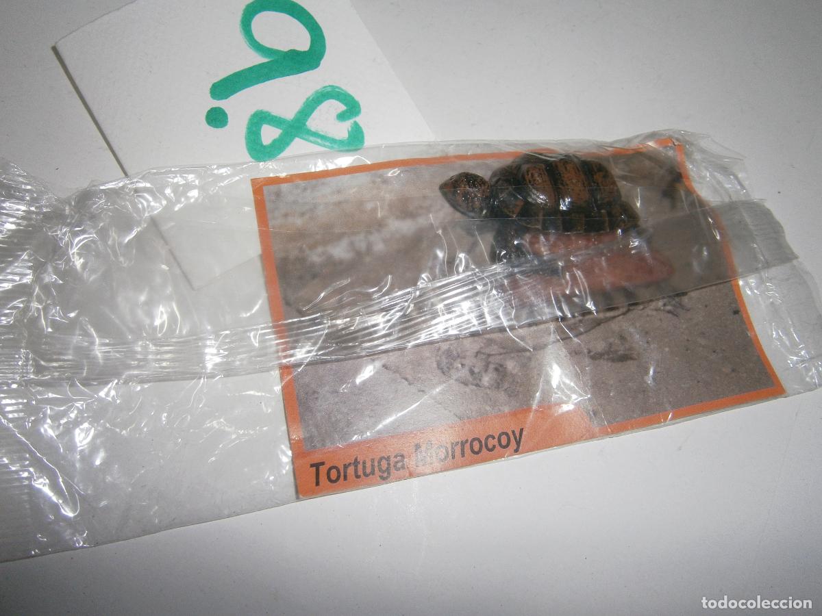 Figurines en Caoutchouc et PVC: ANIMALES DE CANARIAS Y DEL MUNDO - TORTUGA MORROCOY