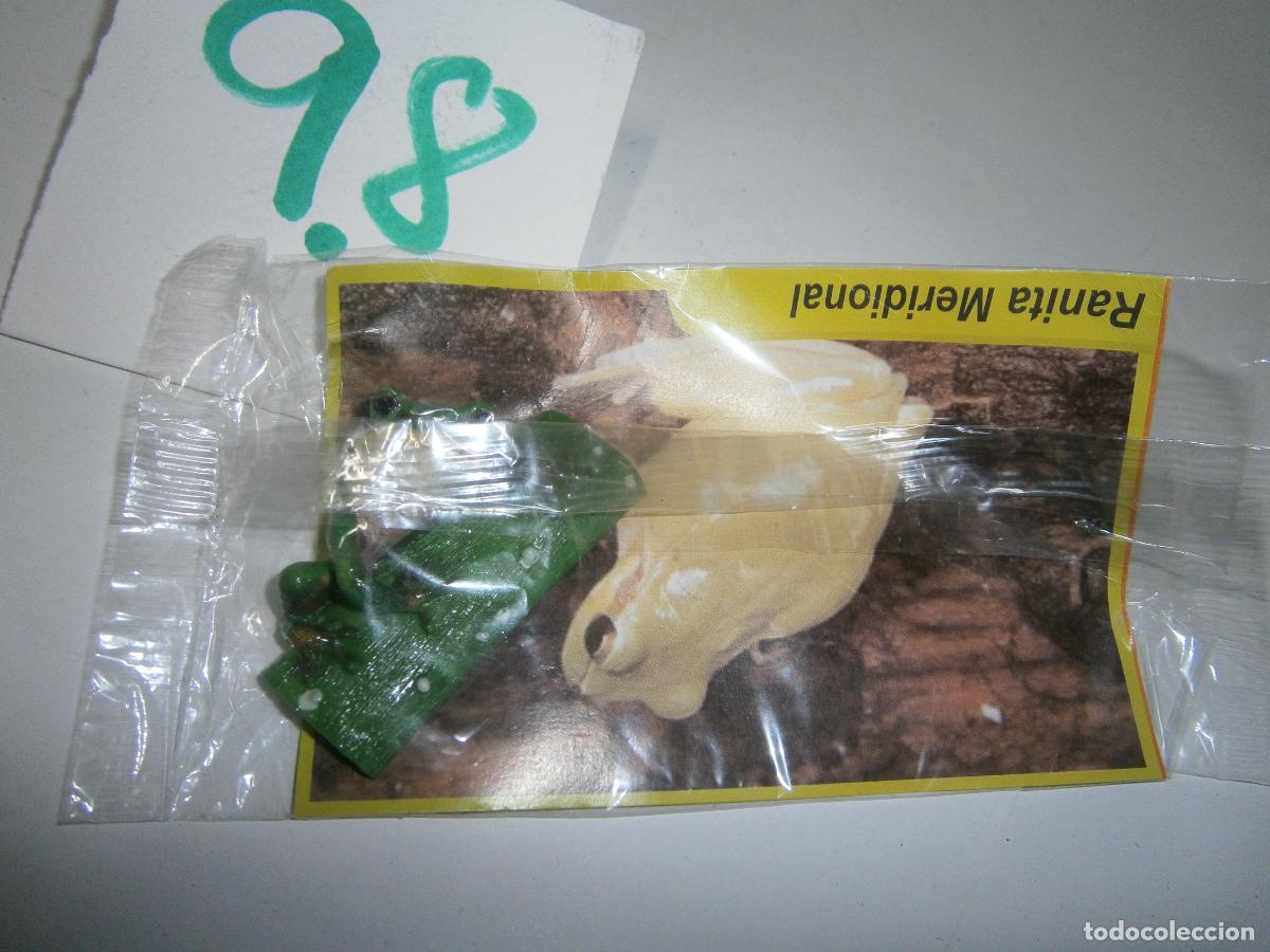 Figurines en Caoutchouc et PVC: ANIMALES DE CANARIAS Y DEL MUNDO - RANITA MERIDIONAL