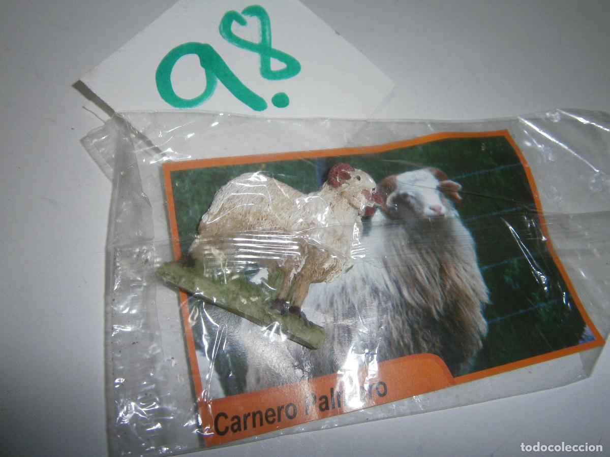 Figurines en Caoutchouc et PVC: ANIMALES DE CANARIAS Y DEL MUNDO - CARNERO PALMERO