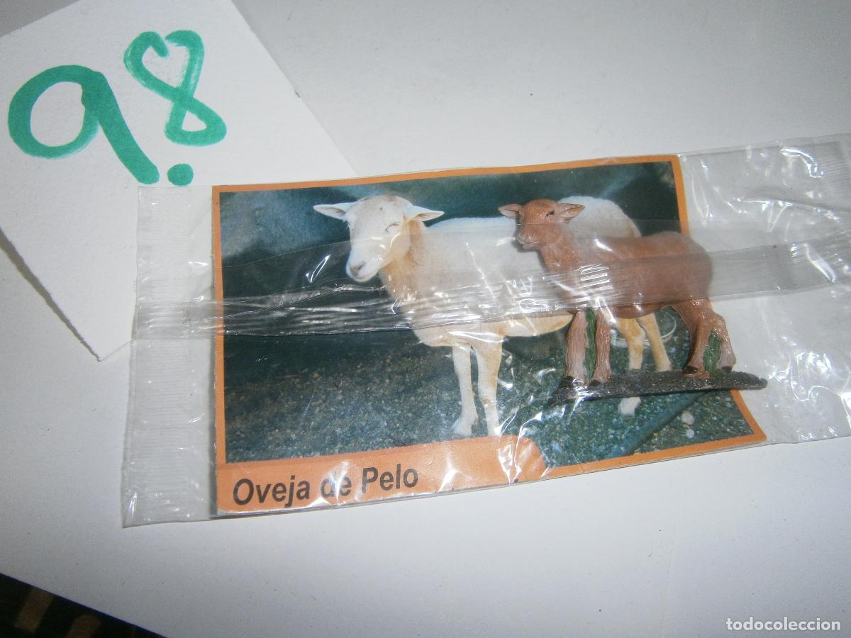 Figurines en Caoutchouc et PVC: ANIMALES DE CANARIAS Y DEL MUNDO - OVEJA DE PELO