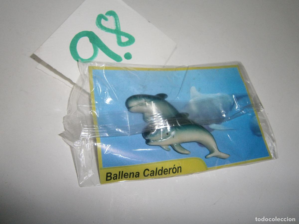 Figuras de Borracha e PVC: PECES DE CANARIAS Y DEL MUNDO - BALLENA CALDERON