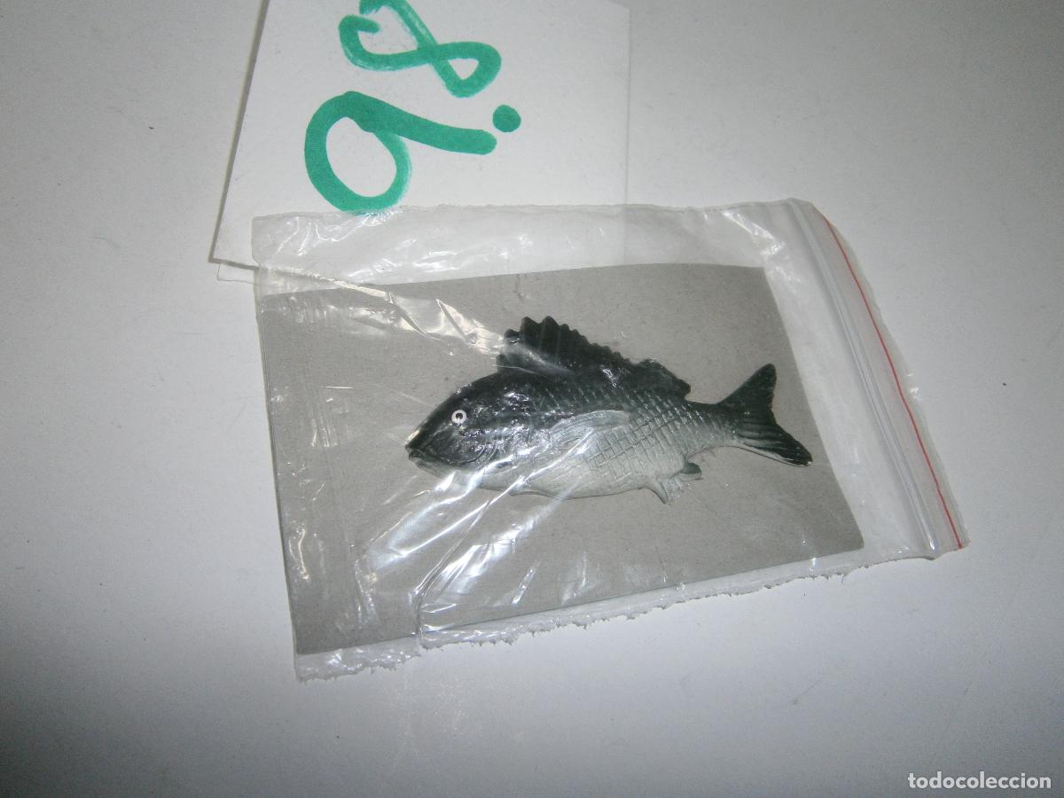Figurines en Caoutchouc et PVC: PECES DE CANARIAS Y DEL MUNDO - RONCADOR