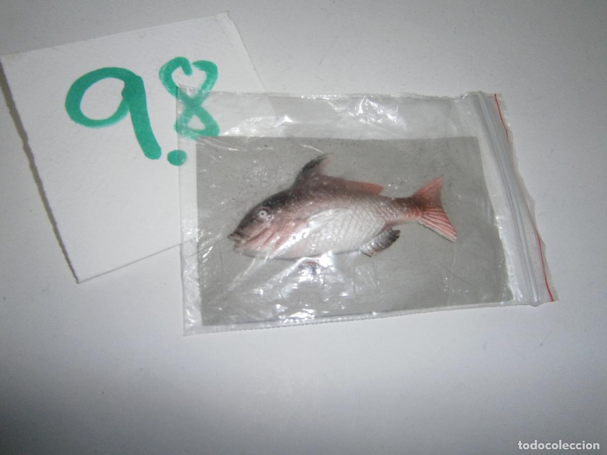 Rubber and PVC Figures: PECES DE CANARIAS Y DEL MUNDO - SAMA DE PLUMA/PARGO