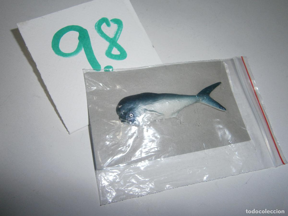Figuras de Borracha e PVC: PECES DE CANARIAS Y DEL MUNDO - LLAMPUGA