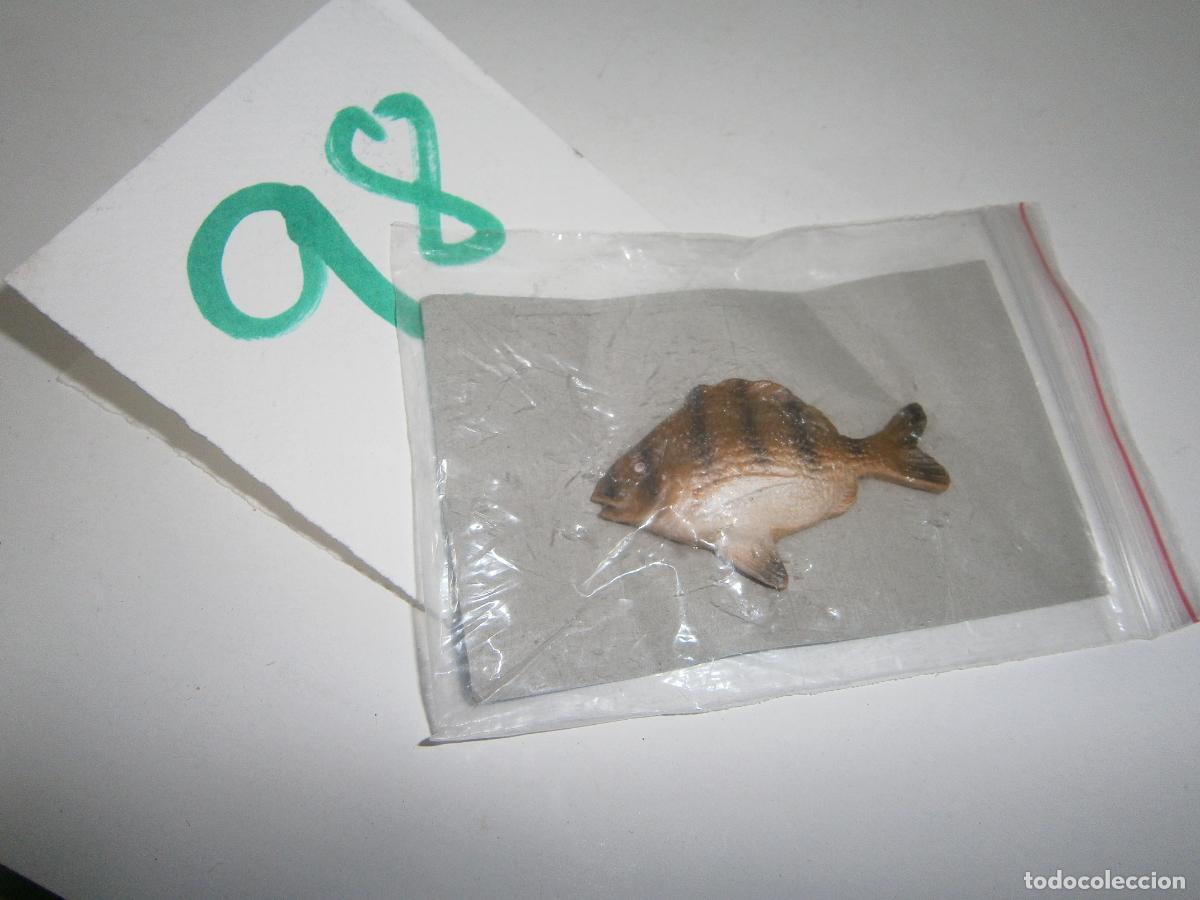 Figurines en Caoutchouc et PVC: PECES DE CANARIAS Y DEL MUNDO - SARGO IMPERIAL