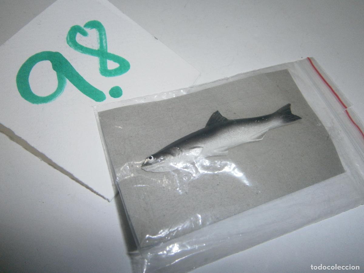 Rubber and PVC Figures: PECES DE CANARIAS Y DEL MUNDO - BOQUERON