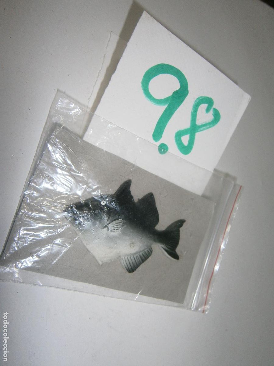 Rubber and PVC Figures: PECES DE CANARIAS Y DEL MUNDO - PEZ BALLESTA