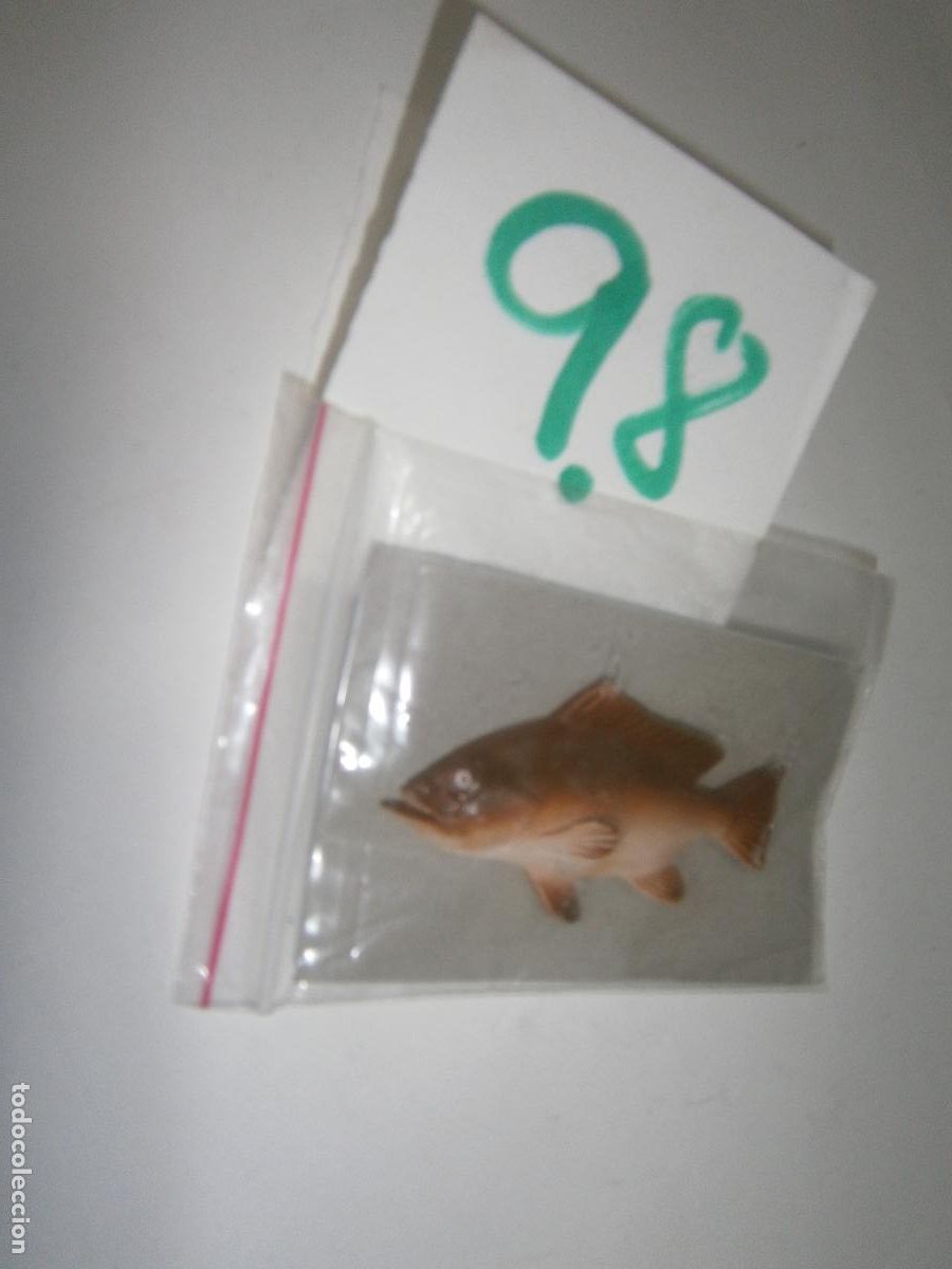 Figuras de Borracha e PVC: PECES DE CANARIAS Y DEL MUNDO - ABADEJO