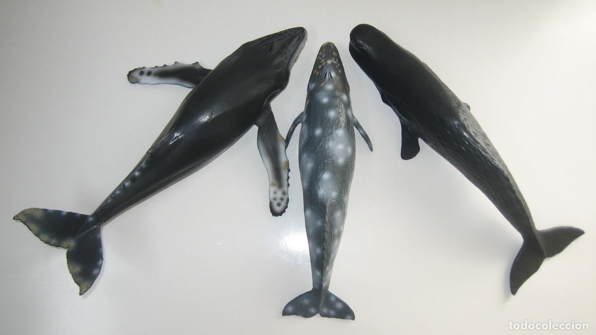 Figuras de goma y PVC: TRES CET&Aacute;CEOS MARINOS. MARCA SCHLEICH. MODELOS A ESCALA 1:32. PINTADOS A MANO. A&Ntilde;O 2000.
