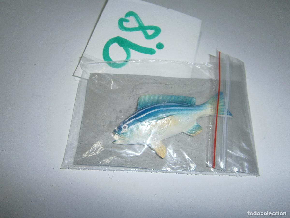 Figurines en Caoutchouc et PVC: PECES DE CANARIAS Y DEL MUNDO - BURRO LISTADO