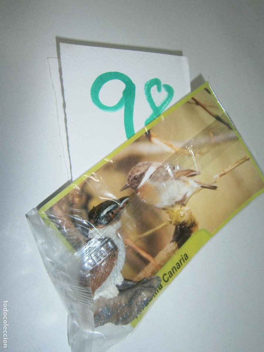 Gummi- und PVC-Figuren: AVES DE CANARIAS Y DEL MUNDO
